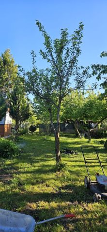 Działka rekreacyjna Słupsk, al. 3 Maja. Zdjęcie 1