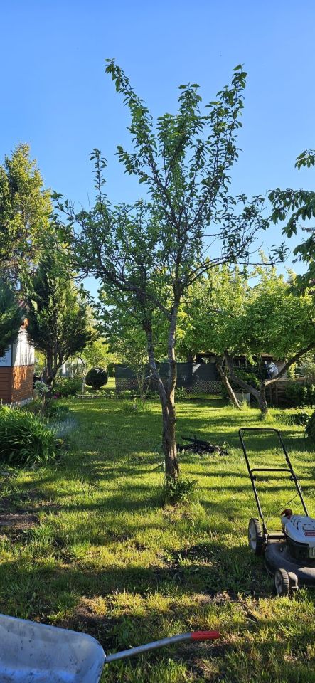 Działka rekreacyjna Słupsk, al. 3 Maja