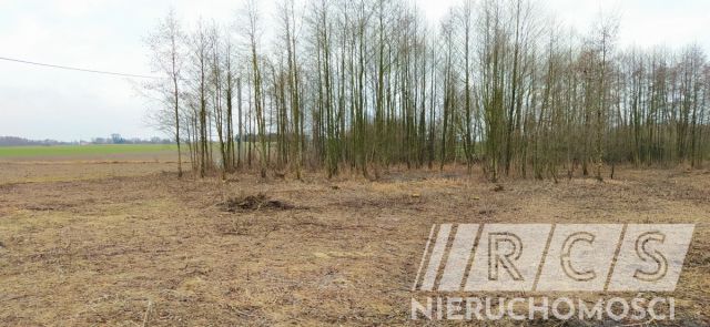 Działka budowlana Sadków. Zdjęcie 8