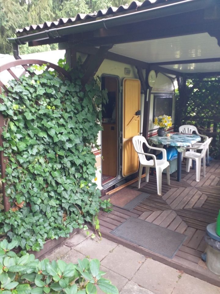 Działka rod Biedrusko. Zdjęcie 6