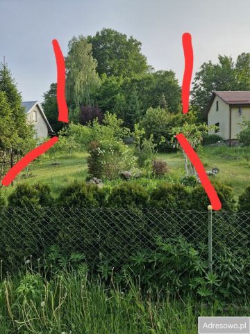 Działka rod Olszanka, ul. Porzeczkowa. Zdjęcie 1