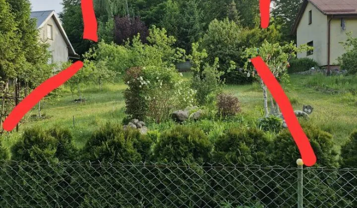 Działka rod Olszanka, ul. Porzeczkowa