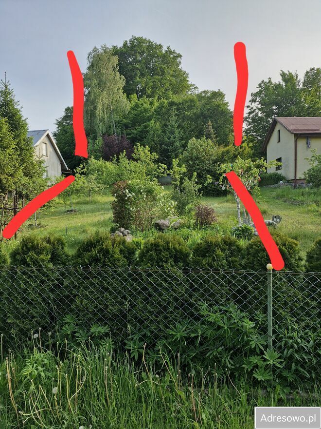 Działka rod Olszanka, ul. Porzeczkowa. Zdjęcie 1