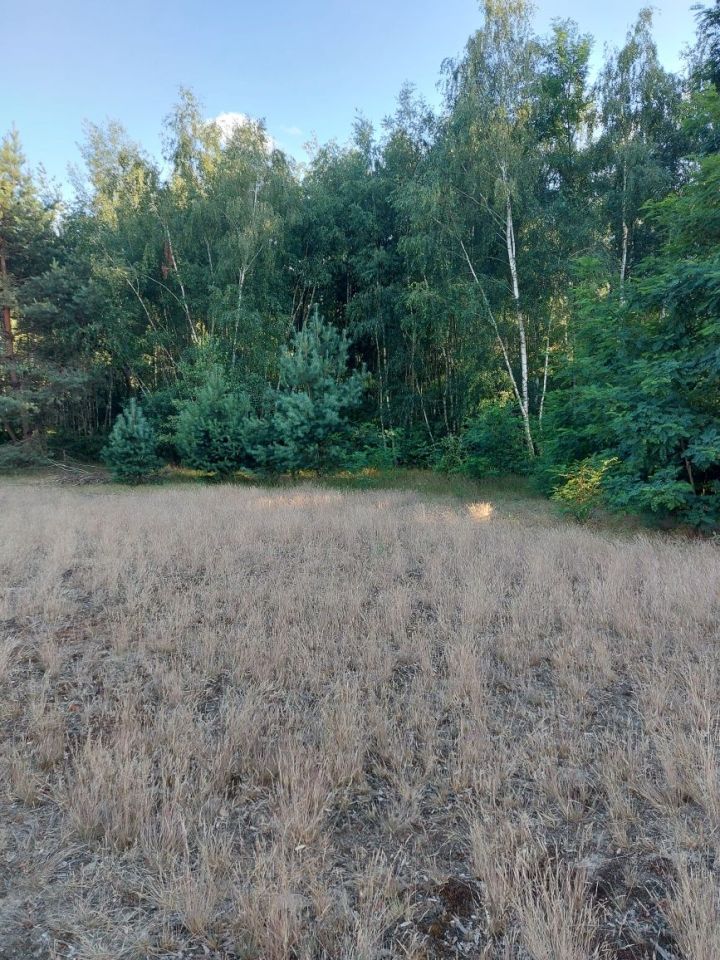 Działka budowlana Grabiszew. Zdjęcie 3