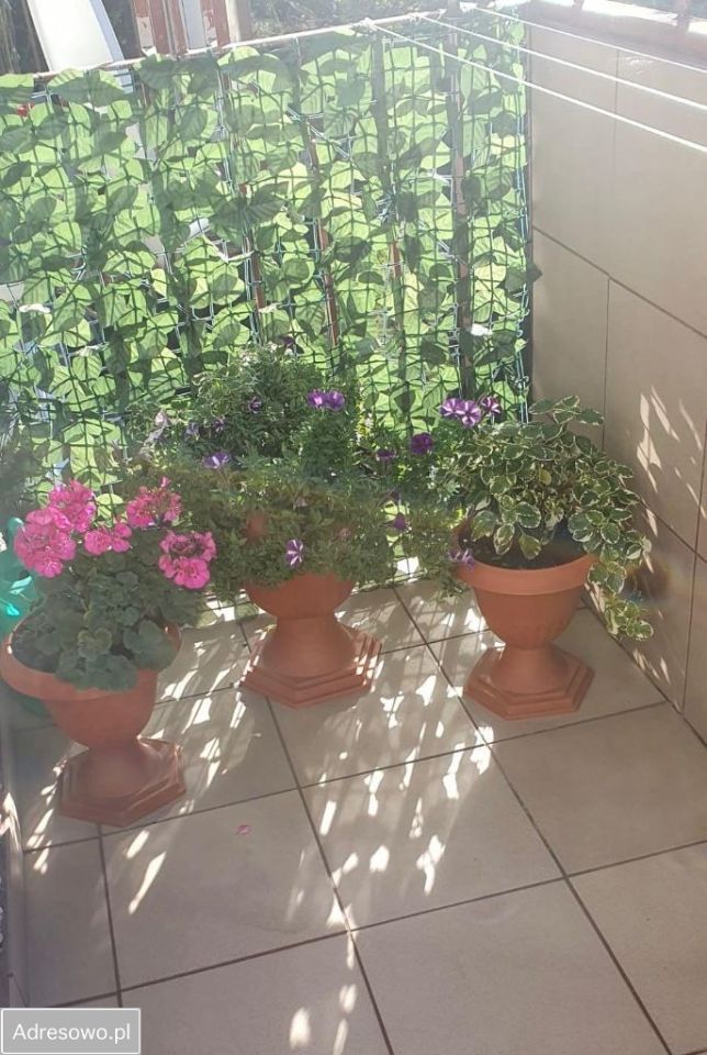 Mieszkanie 3-pokojowe Prudnik, ul. ks. Skowrońskiego. Zdjęcie 9