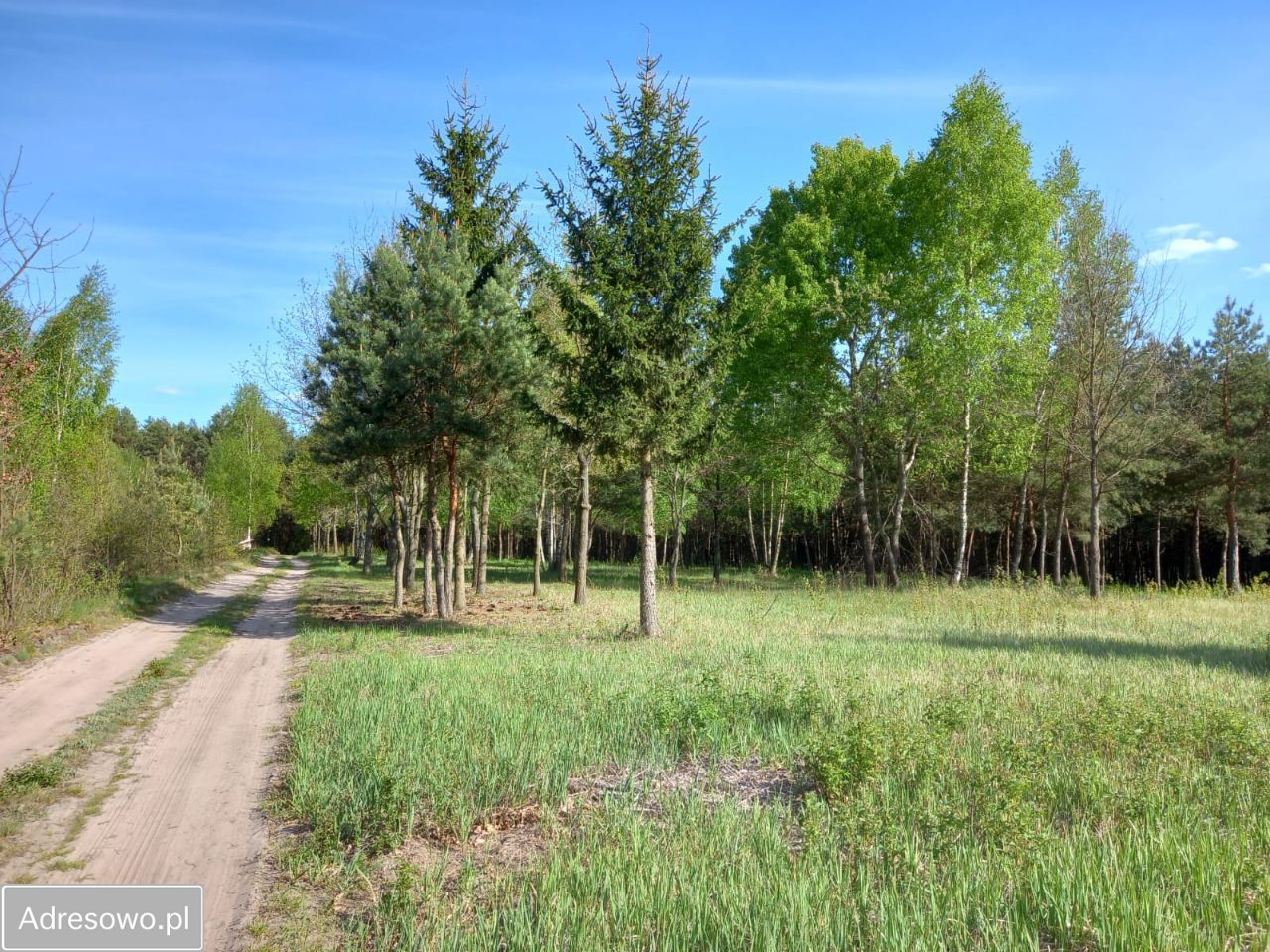 Działka budowlana Kępiaste. Zdjęcie 6