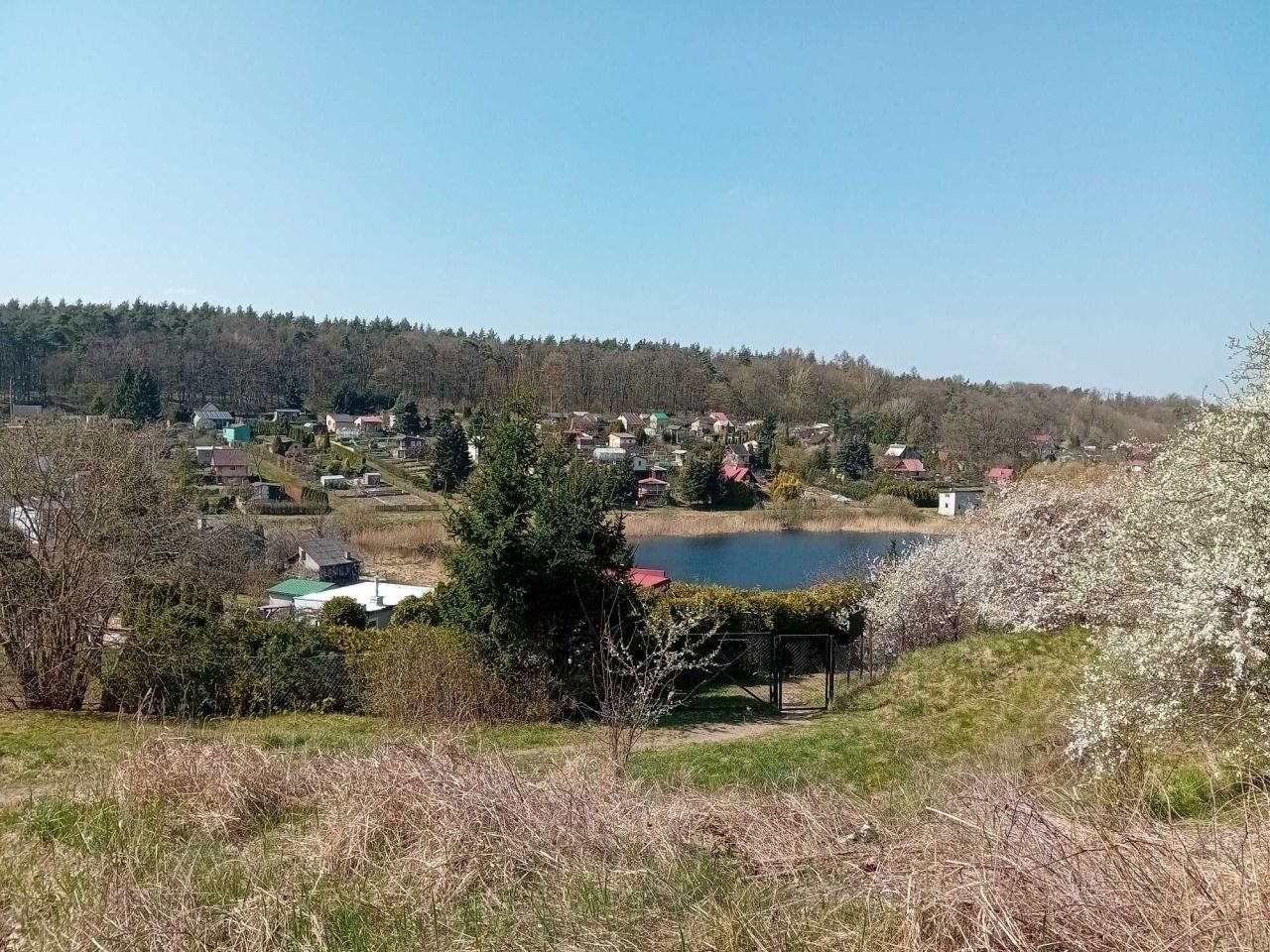 Działka rod Iława. Zdjęcie 6