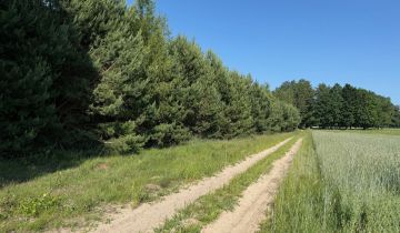 Działka leśna Kamieniec