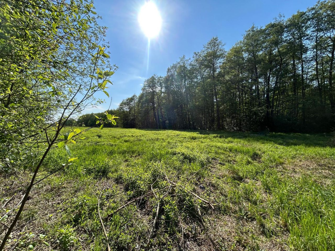 Działka budowlana Radziejowice, ul. Ossolińskich