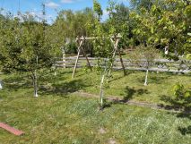 Działka rod Mrągowo. Zdjęcie 1