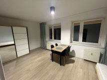 Mieszkanie 1-pokojowe Poznań Centrum, ul. Wierzbięcice. Zdjęcie 2