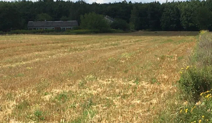 Działka budowlana Załuski