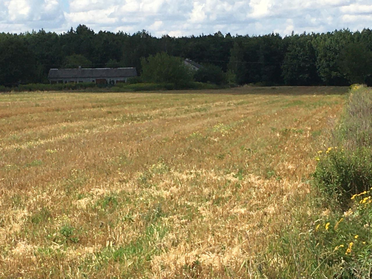 Działka budowlana Załuski