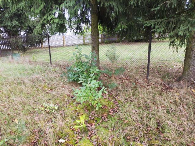 Działka budowlana Chociw. Zdjęcie 1