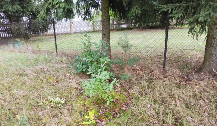 Działka budowlana Chociw