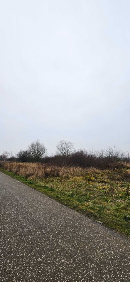 Działka budowlana Złotniki. Zdjęcie 8