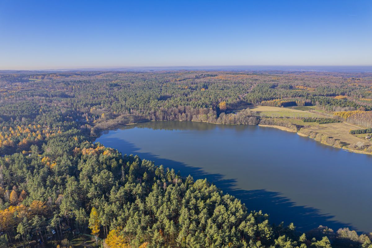 Działka inwestycyjna Zbychowo, ul. ks. Heyki. Zdjęcie 14