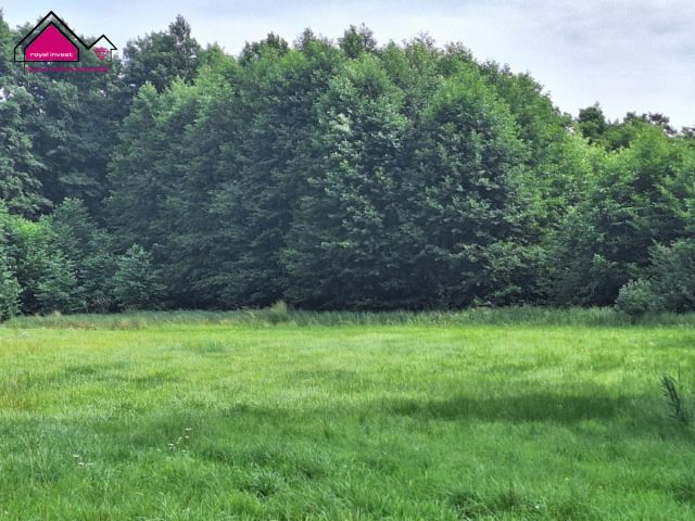 Działka rolna Kępa. Zdjęcie 6