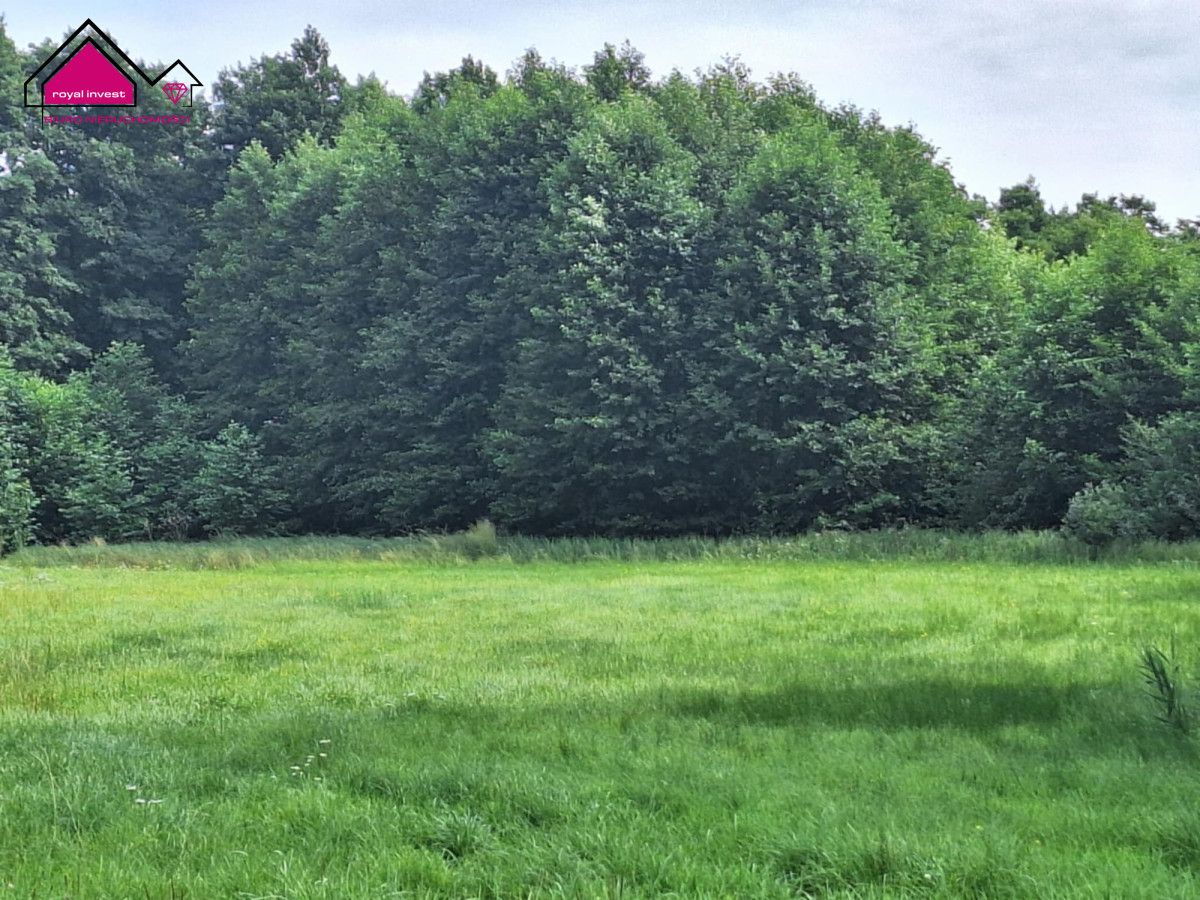 Działka rolna Kępa. Zdjęcie 6