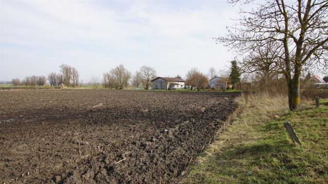 Działka rolna Węzina. Zdjęcie 4