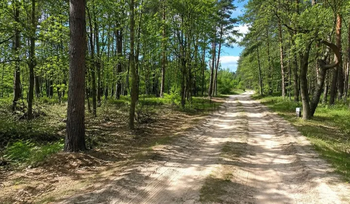 Działka inwestycyjna Wszewilki Pomorska