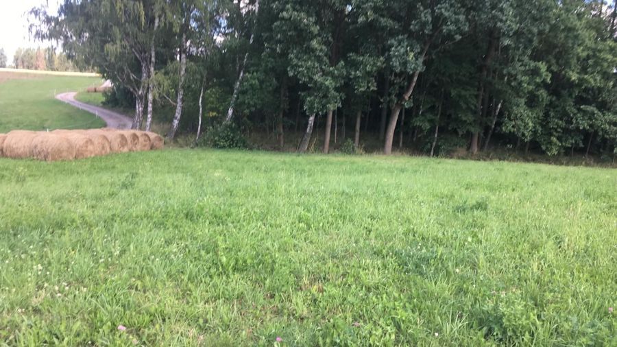 Działka budowlana Załęże. Zdjęcie 4