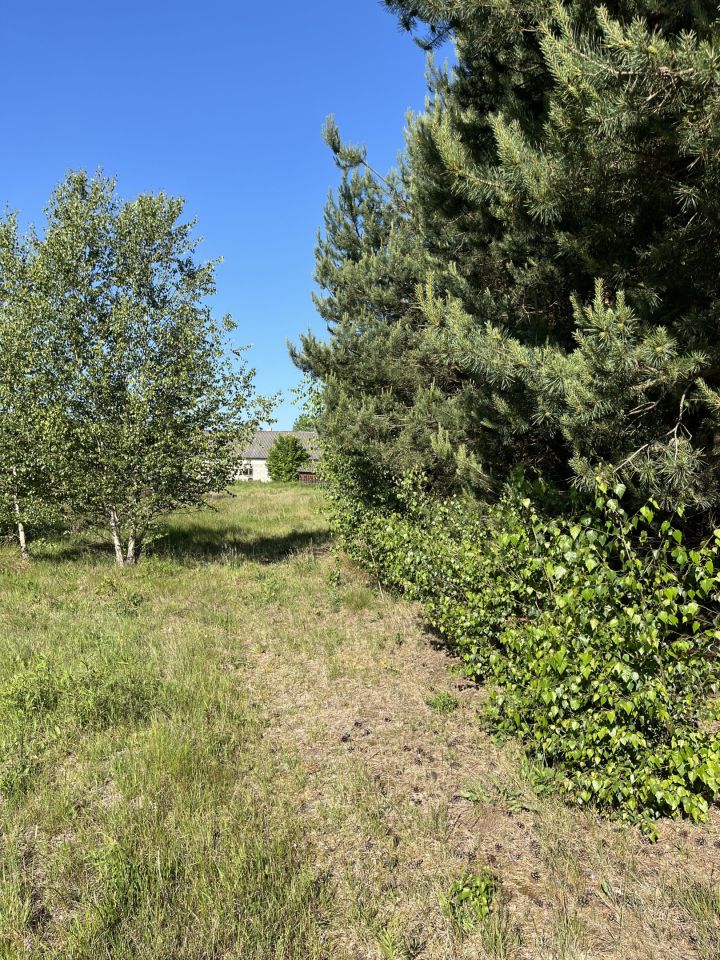 Działka siedliskowa Kury Zapole. Zdjęcie 2