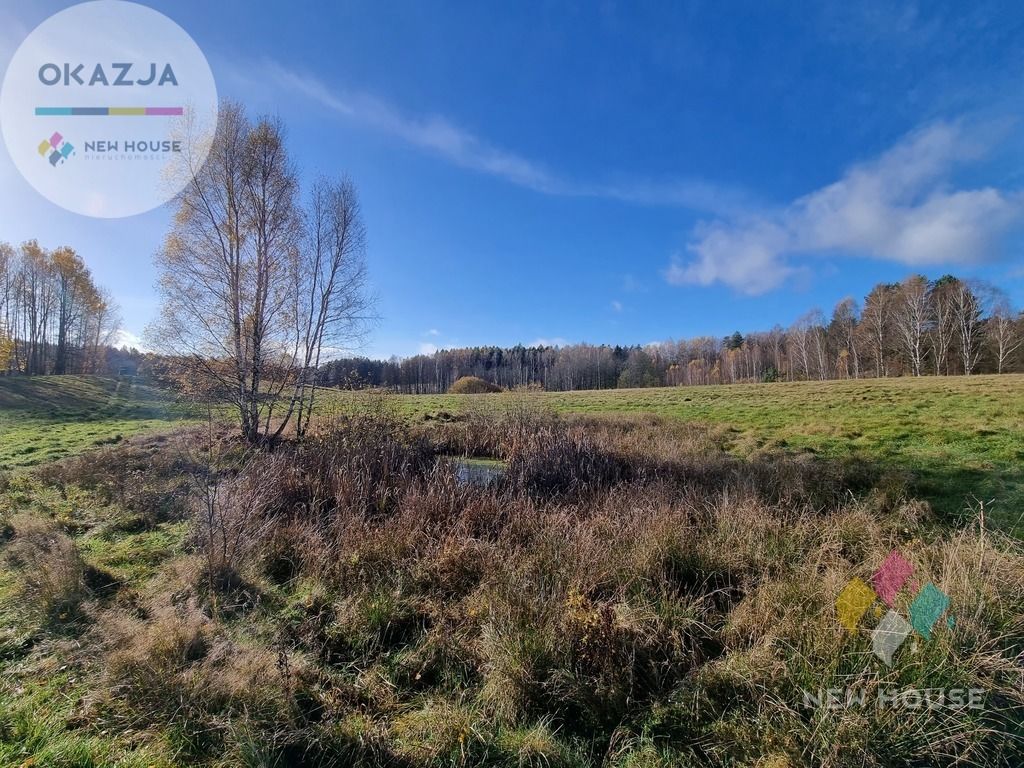 Działka siedliskowa Stryjkowo. Zdjęcie 6