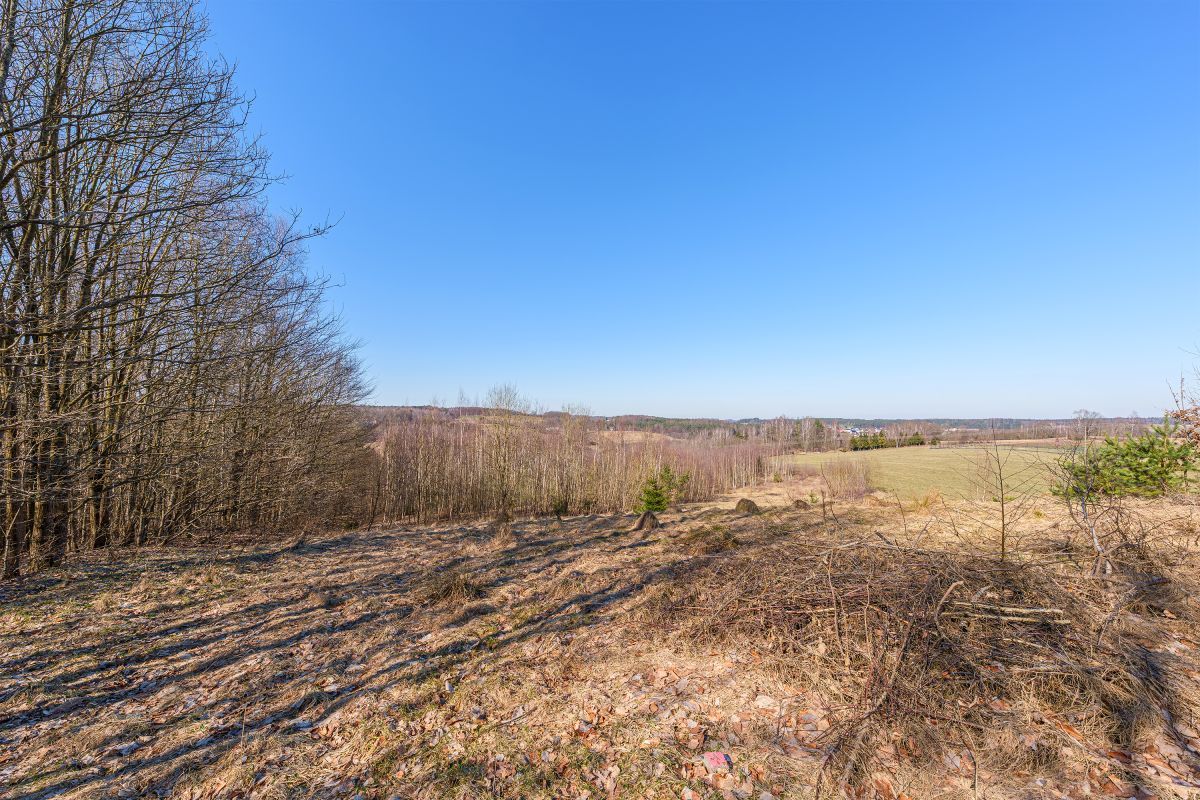 Działka budowlana Miechucino. Zdjęcie 7