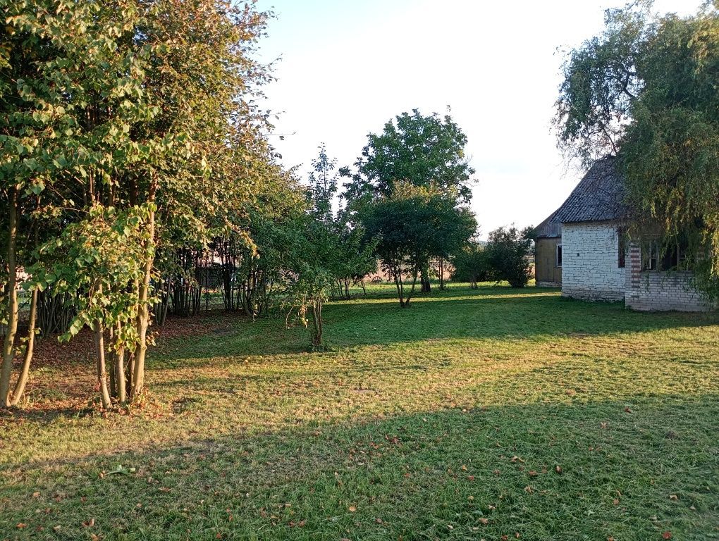 Działka siedliskowa Kozice Dolne-Kolonia. Zdjęcie 7