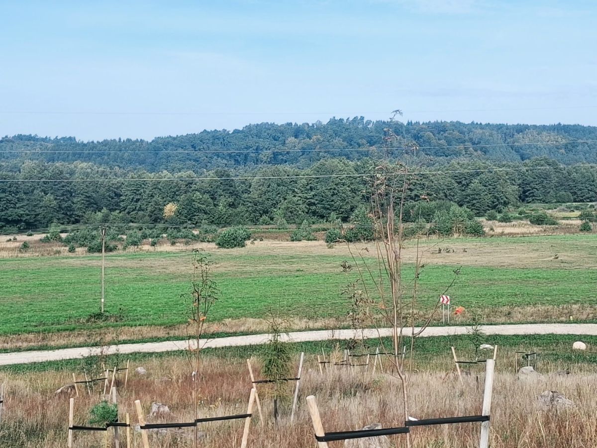 Działka rolna Godętowo. Zdjęcie 15