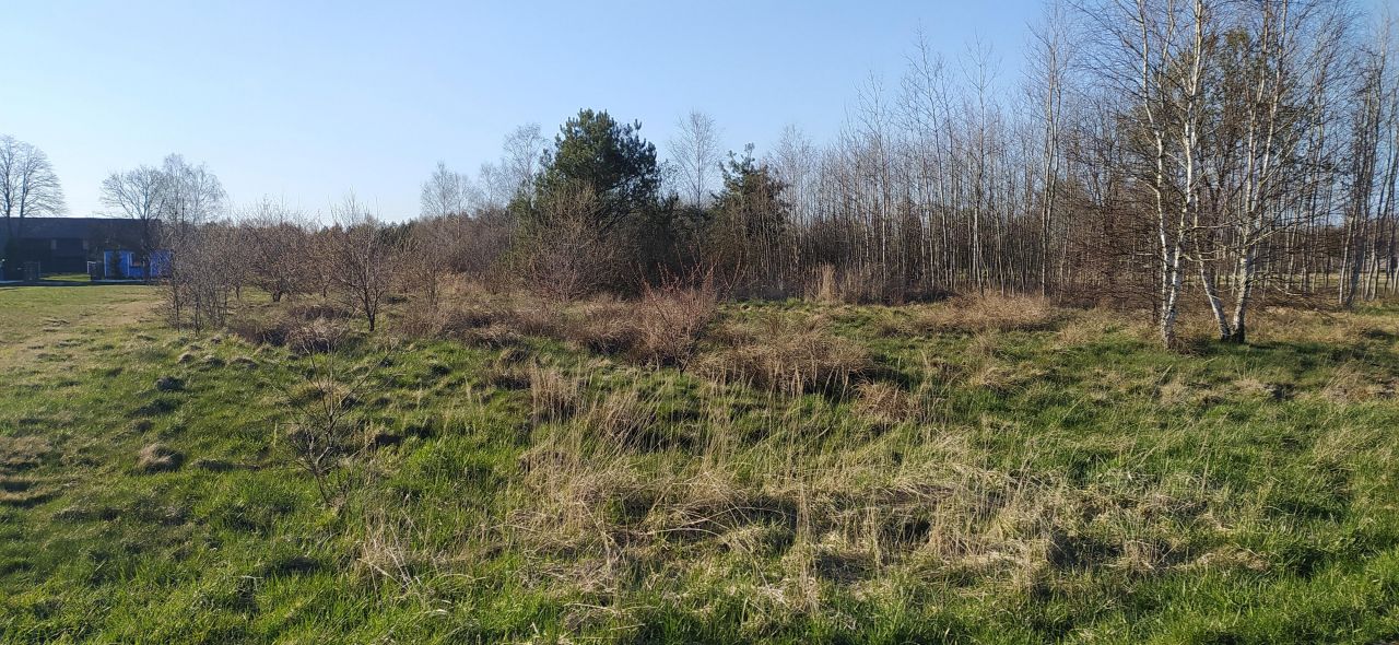 Działka rolna Ludwików. Zdjęcie 3