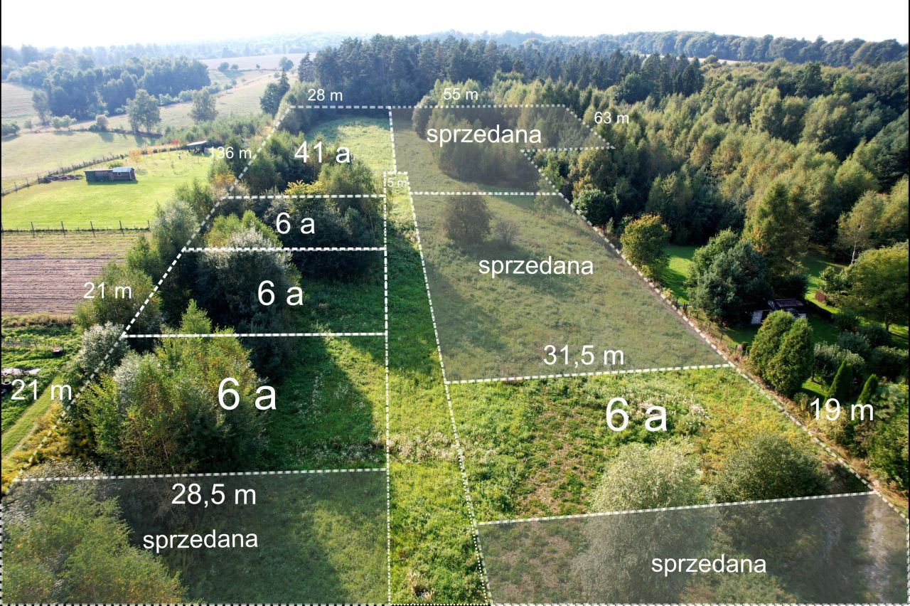 Działka budowlana Domaniewice Psiarskie. Zdjęcie 1