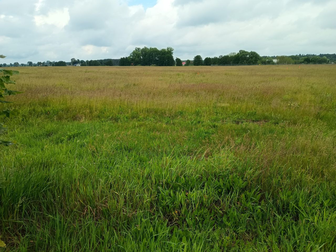 Działka budowlana Żurczyn. Zdjęcie 6