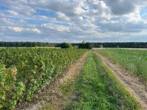 Działka rolna Sporniak