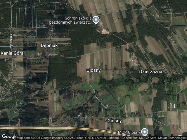 Działka rolno-budowlana Ciosny. Zdjęcie 1