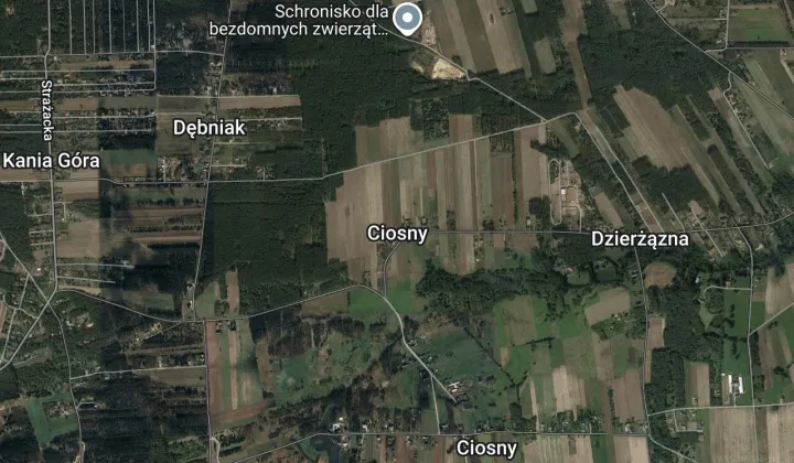 Działka rolno-budowlana Ciosny