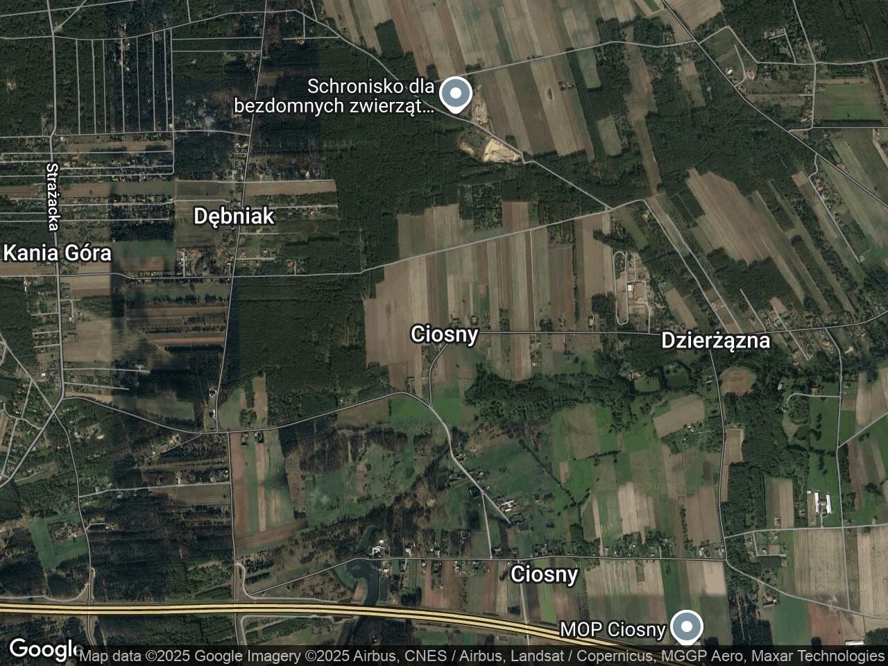 Działka rolno-budowlana Ciosny