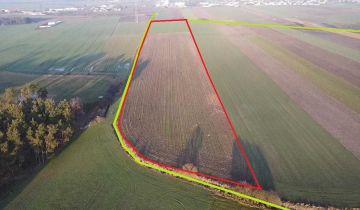 Działka inwestycyjna Borek Wielkopolski