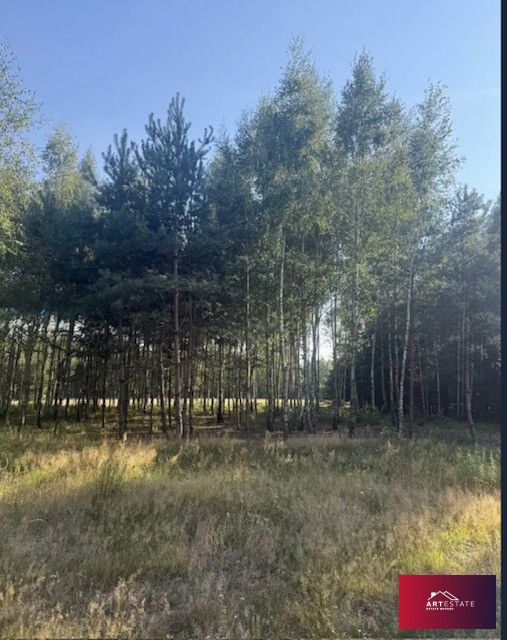 Działka budowlana Ciężków. Zdjęcie 6