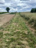 Działka siedliskowa Słodków Trzeci. Zdjęcie 3