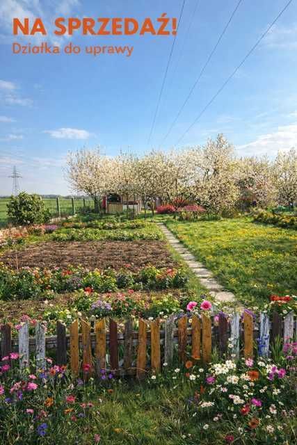 Działka rod Żłobizna. Zdjęcie 4