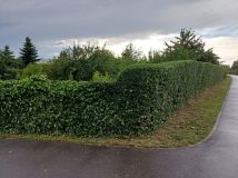 Działka rod Świebodzice Osiedle Piastowskie. Zdjęcie 3
