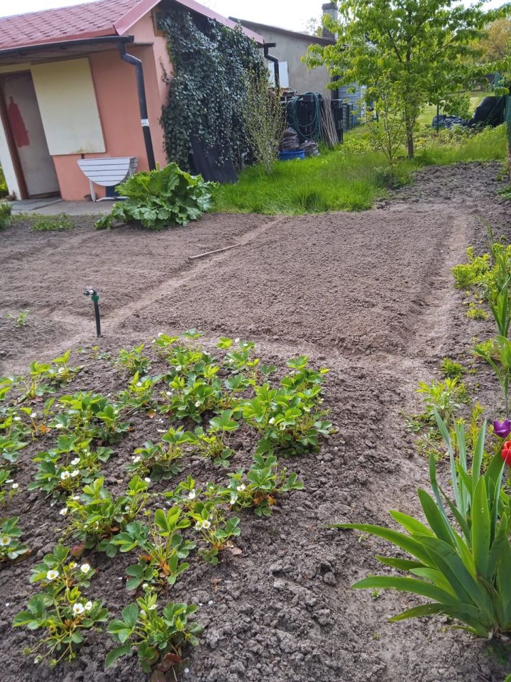 Działka rod Wrocław Krzyki, ul. Wiaduktowa. Zdjęcie 3