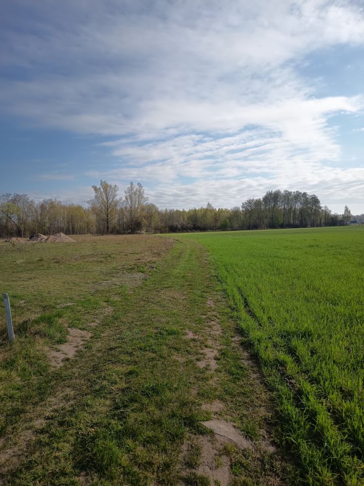 Działka budowlana Budy Ciepielińskie. Zdjęcie 11