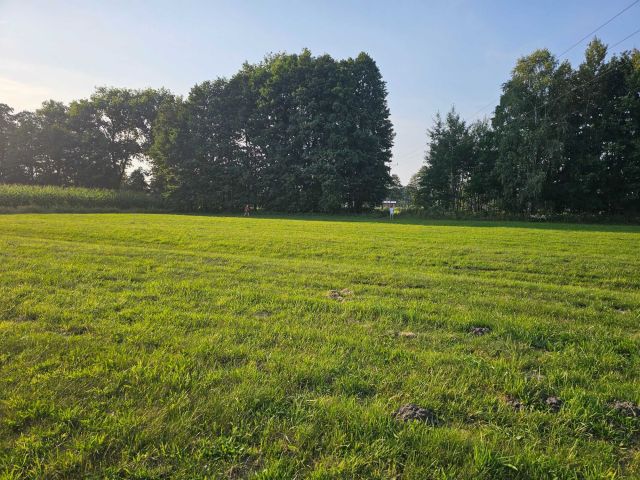 Działka budowlana Bukowiec. Zdjęcie 1