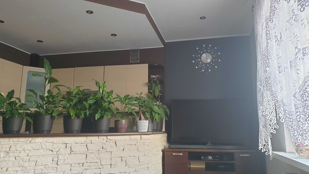 Mieszkanie 2-pokojowe Piekary Śląskie Centrum, ul. Papieża Jana Pawła II. Zdjęcie 3