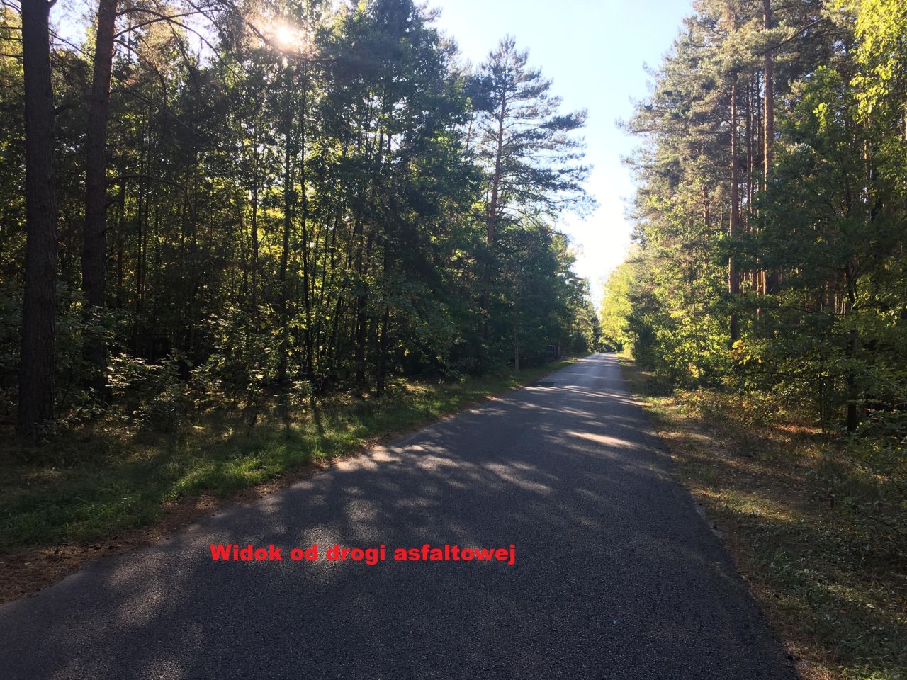 Działka rolna Żdżarki. Zdjęcie 5