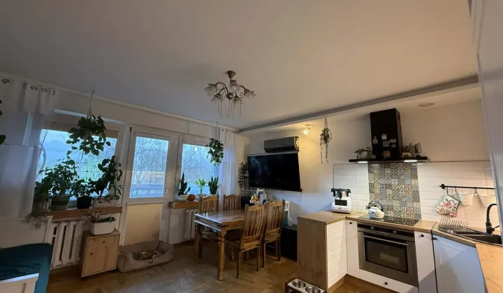 Mieszkanie 4-pokojowe Szczecin Bukowe, ul. Seledynowa