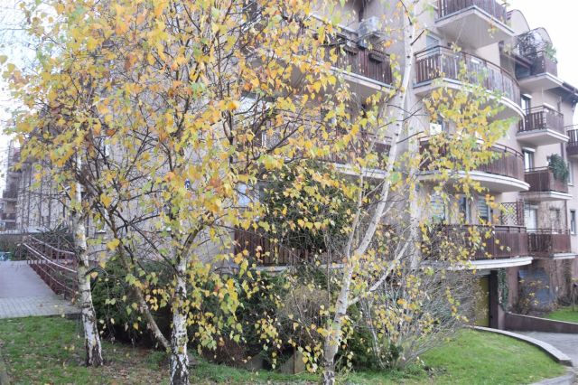 Mieszkanie 1-pokojowe Kraków Prądnik Biały, ul. Kuźnicy Kołłątajowskiej. Zdjęcie 9